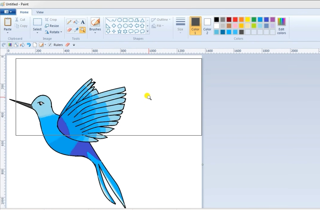 Humming Bird